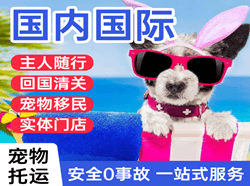 梅州梅县空运代理国际宠物托运 【国
